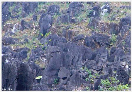 Sổ tay du lịch so tay du lich Sotaydulich Sotay Dulich Khampha Kham Pha Bui Kinh nghiem du lich bui Ha Giang