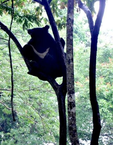 Sổ tay du lịch so tay du lich Sotaydulich Sotay Dulich Khampha Kham Pha Bui Xem thu an dem o Cat Tien