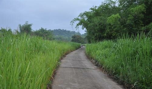 Sổ tay du lịch so tay du lich Sotaydulich Sotay Dulich Khampha Kham Pha Bui Xem thu an dem o Cat Tien