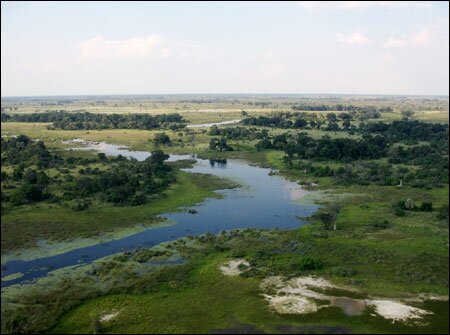 Sổ tay du lịch so tay du lich Sotaydulich Sotay Dulich Khampha Kham Pha Bui Okavango diem du lich hoang da cua Botswana