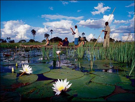 Sổ tay du lịch so tay du lich Sotaydulich Sotay Dulich Khampha Kham Pha Bui Okavango diem du lich hoang da cua Botswana