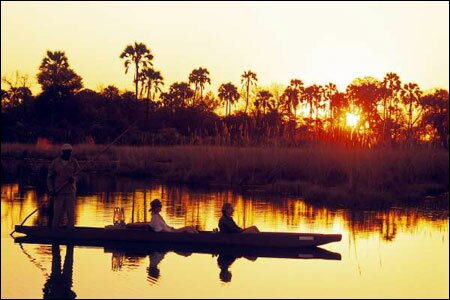 Sổ tay du lịch so tay du lich Sotaydulich Sotay Dulich Khampha Kham Pha Bui Okavango diem du lich hoang da cua Botswana