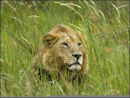 Sổ tay du lịch so tay du lich Sotaydulich Sotay Dulich Khampha Kham Pha Bui Okavango diem du lich hoang da cua Botswana