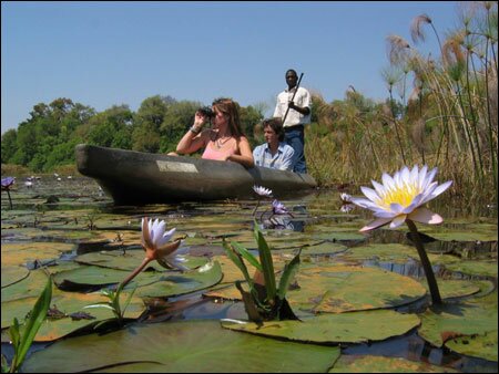 Sổ tay du lịch so tay du lich Sotaydulich Sotay Dulich Khampha Kham Pha Bui Okavango diem du lich hoang da cua Botswana