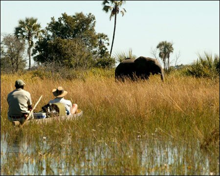 Sổ tay du lịch so tay du lich Sotaydulich Sotay Dulich Khampha Kham Pha Bui Okavango diem du lich hoang da cua Botswana