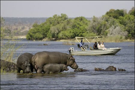 Sổ tay du lịch so tay du lich Sotaydulich Sotay Dulich Khampha Kham Pha Bui Okavango diem du lich hoang da cua Botswana