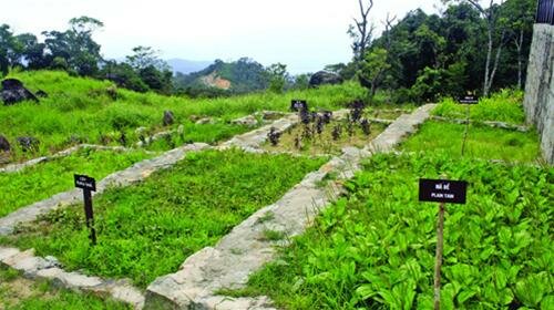 Sổ tay du lịch so tay du lich Sotaydulich Sotay Dulich Khampha Kham Pha Bui Hon Ba dinh nui von may