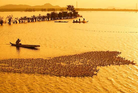 Sổ tay du lịch so tay du lich Sotaydulich Sotay Dulich Khampha Kham Pha Bui Kinh nghiem du lich bui Dong Thap