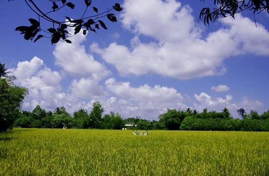 Sổ tay du lịch so tay du lich Sotaydulich Sotay Dulich Khampha Kham Pha Bui Kinh nghiem du lich bui Dong Thap