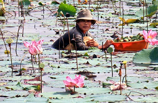 Sổ tay du lịch so tay du lich Sotaydulich Sotay Dulich Khampha Kham Pha Bui Kinh nghiem du lich bui Dong Thap