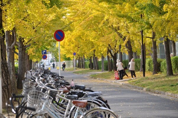 Sổ tay du lịch so tay du lich Sotaydulich Sotay Dulich Khampha Kham Pha Bui sac thu nhat ban