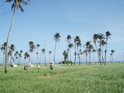 Sổ tay du lịch so tay du lich Sotaydulich Sotay Dulich Khampha Kham Pha Bui Kinh nghiem du lich bui dao ly son