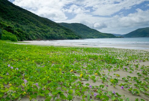 Sổ tay du lịch so tay du lich Sotaydulich Sotay Dulich Khampha Kham Pha Bui Con Dao thien duong nghi duong va kham pha thien nhien