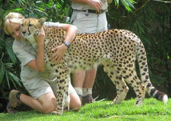  Sổ tay du lịch so tay du lich Sotaydulich Sotay Dulich Khampha Kham Pha Bui Cong vien Cheetah Thien duong cua loai Bao