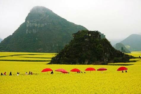 Sổ tay du lịch so tay du lich Sotaydulich Sotay Dulich Khampha Kham Pha Bui Thung lung hoa cai dau xu so than tien