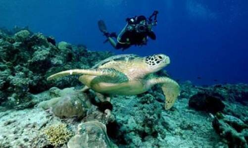 Sổ tay du lịch so tay du lich Sotaydulich Sotay Dulich Khampha Kham Pha Bui Canh sac tuyet voi o Dao Derawan 