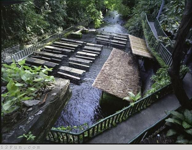 Sổ tay du lịch so tay du lich Sotaydulich Sotay Dulich Khampha Kham Pha Bui Villa Escudero trai nghiem bua trua ben dong thac