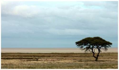 Sổ tay du lịch so tay du lich Sotaydulich Sotay Dulich Khampha Kham Pha Bui Etosha Saltpans Chao muoi khong lo cua the gioi 