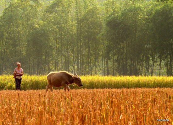 Sổ tay du lịch so tay du lich Sotaydulich Sotay Dulich Khampha Kham Pha Bui Kinh nghiem du lich bui Hoa Binh