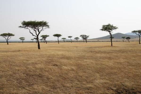 Sổ tay du lịch so tay du lich Sotaydulich Sotay Dulich Khampha Kham Pha Bui Maasai Mara va hiem hoa tu du lich