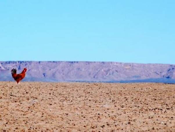 Sổ tay du lịch so tay du lich Sotaydulich Sotay Dulich Khampha Kham Pha Bui Sa mac Erg Chebbi nguoi anh em Sahara