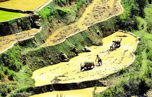 Sổ tay du lịch so tay du lich Sotaydulich Sotay Dulich Khampha Kham Pha Bui kinh nghiem du lich bui sa pa