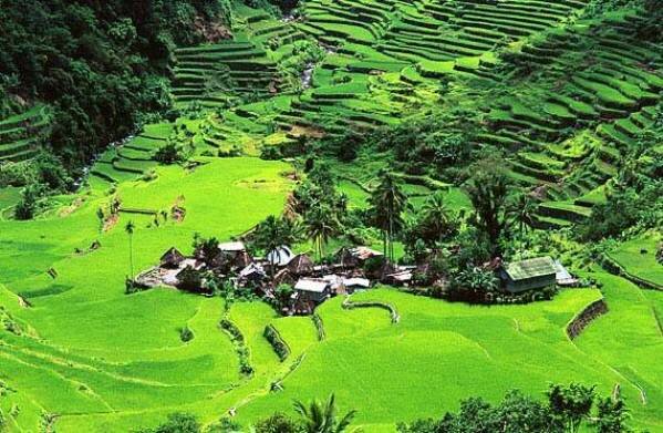 Sổ tay du lịch so tay du lich Sotaydulich Sotay Dulich Khampha Kham Pha Bui Banaue Quyến rũ đến từng cung bậc