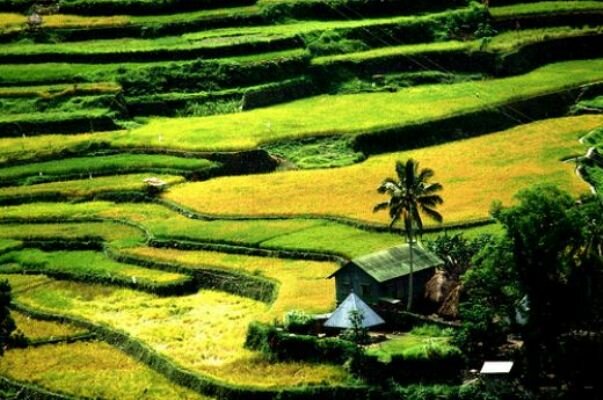 Sổ tay du lịch so tay du lich Sotaydulich Sotay Dulich Khampha Kham Pha Bui Banaue Quyến rũ đến từng cung bậc