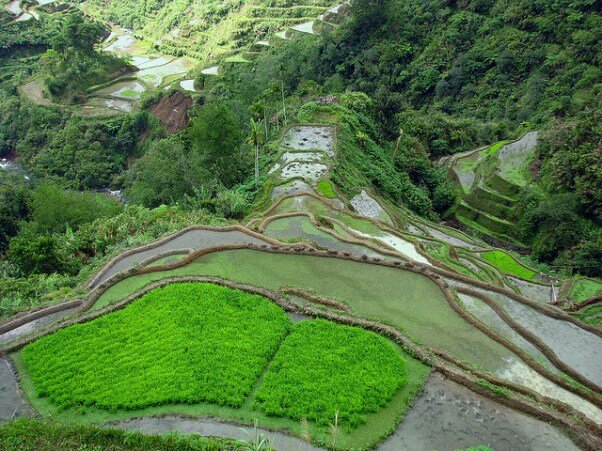 Sổ tay du lịch so tay du lich Sotaydulich Sotay Dulich Khampha Kham Pha Bui Banaue Quyến rũ đến từng cung bậc