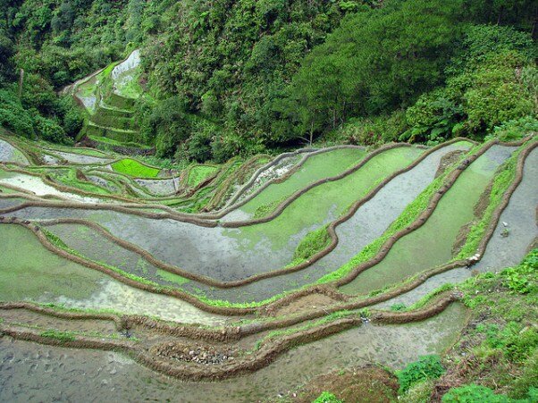 Sổ tay du lịch so tay du lich Sotaydulich Sotay Dulich Khampha Kham Pha Bui Banaue Quyến rũ đến từng cung bậc