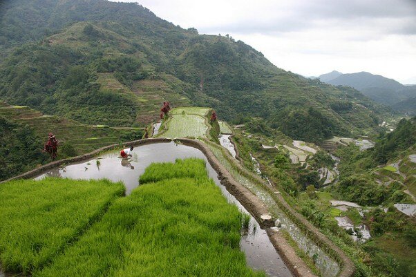 Sổ tay du lịch so tay du lich Sotaydulich Sotay Dulich Khampha Kham Pha Bui Banaue Quyến rũ đến từng cung bậc