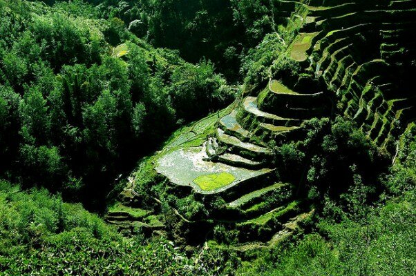 Sổ tay du lịch so tay du lich Sotaydulich Sotay Dulich Khampha Kham Pha Bui Banaue Quyến rũ đến từng cung bậc