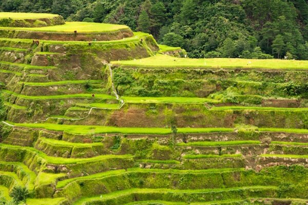 Sổ tay du lịch so tay du lich Sotaydulich Sotay Dulich Khampha Kham Pha Bui Banaue Quyến rũ đến từng cung bậc