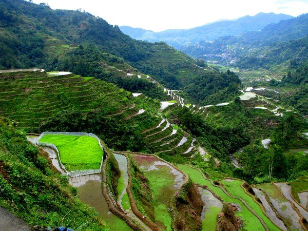 Sổ tay du lịch so tay du lich Sotaydulich Sotay Dulich Khampha Kham Pha Bui Banaue Quyến rũ đến từng cung bậc