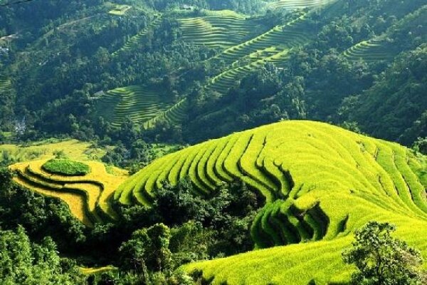 Sổ tay du lịch so tay du lich Sotaydulich Sotay Dulich Khampha Kham Pha Bui Banaue Quyến rũ đến từng cung bậc