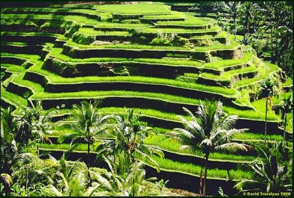 Sổ tay du lịch so tay du lich Sotaydulich Sotay Dulich Khampha Kham Pha Bui Banaue Quyến rũ đến từng cung bậc