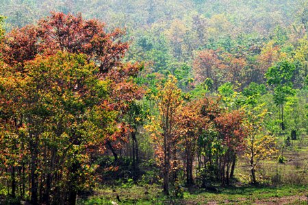 Sổ tay du lịch so tay du lich Sotaydulich Sotay Dulich Khampha Kham Pha Bui Tây Nguyên vào thu