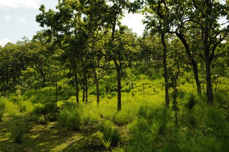 Sổ tay du lịch so tay du lich Sotaydulich Sotay Dulich Khampha Kham Pha Bui Tây Nguyên vào thu