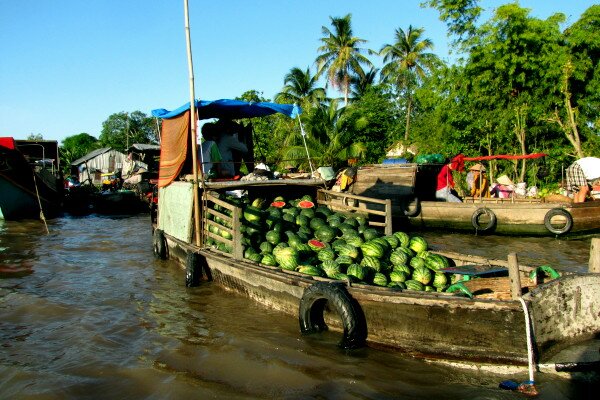 Sổ tay du lịch so tay du lich Sotaydulich Sotay Dulich Khampha Kham Pha Bui Chợ nổi Phong Điền