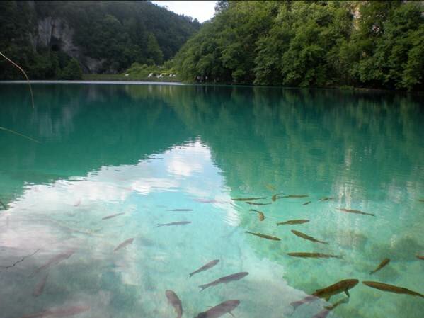 Sổ tay du lịch so tay du lich Sotaydulich Sotay Dulich Khampha Kham Pha Bui Cảnh quan độc đáo Vườn quốc gia Plitvice ở Croatia