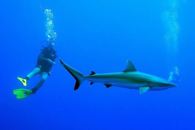 Sổ tay du lịch so tay du lich Sotaydulich Sotay Dulich Khampha Kham Pha Bui Bora Bora đã ra là không muốn về