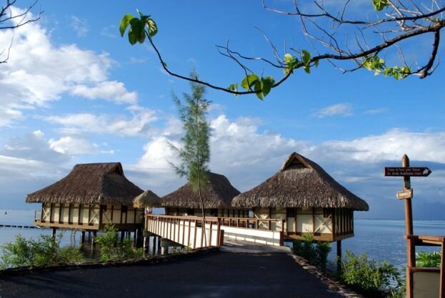 Sổ tay du lịch so tay du lich Sotaydulich Sotay Dulich Khampha Kham Pha Bui Moorea hướng đến một thiên đường