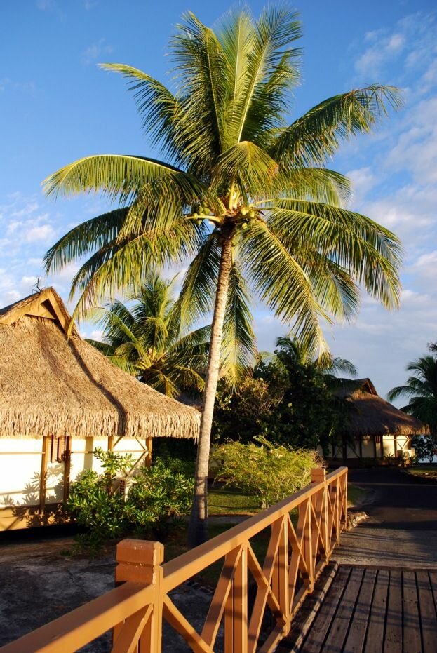 Sổ tay du lịch so tay du lich Sotaydulich Sotay Dulich Khampha Kham Pha Bui Moorea hướng đến một thiên đường