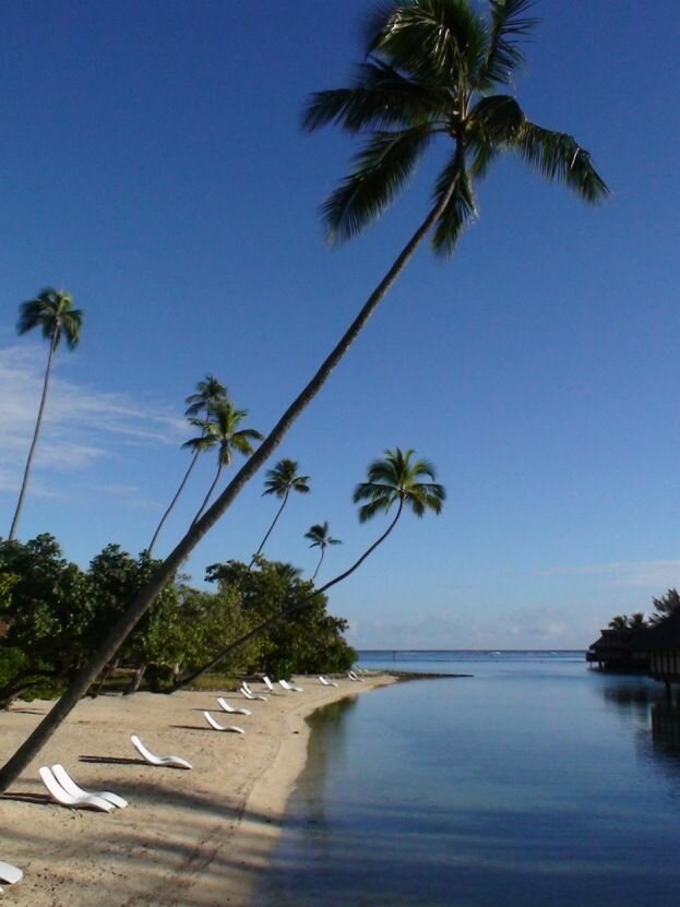 Sổ tay du lịch so tay du lich Sotaydulich Sotay Dulich Khampha Kham Pha Bui Moorea hướng đến một thiên đường