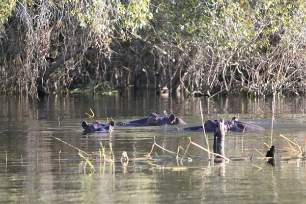 Sổ tay du lịch so tay du lich Sotaydulich Sotay Dulich Khampha Kham Pha Bui Hùng vĩ dòng sông Zambezi