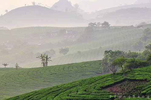 Sổ tay du lịch so tay du lich Sotaydulich Sotay Dulich Khampha Kham Pha Bui Kinh nghiệm du lịch bụi Sơn La