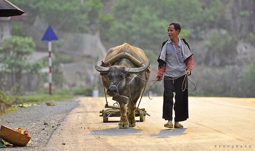 Sổ tay du lịch so tay du lich Sotaydulich Sotay Dulich Khampha Kham Pha Bui Kinh nghiệm du lịch bụi Sơn La