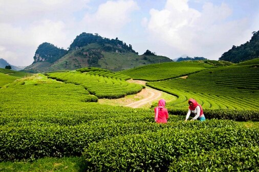 Sổ tay du lịch so tay du lich Sotaydulich Sotay Dulich Khampha Kham Pha Bui Kinh nghiệm du lịch bụi Sơn La