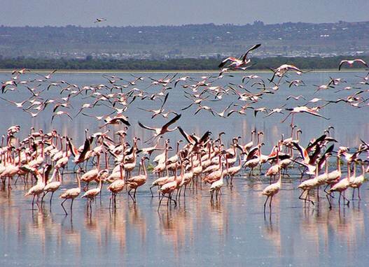 Sổ tay du lịch so tay du lich Sotaydulich Sotay Dulich Khampha Kham Pha Bui Tim về vùng đất hoang sơ Kenya