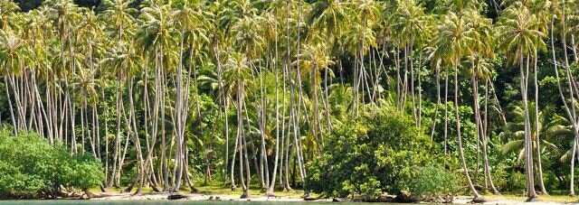 Sổ tay du lịch so tay du lich Sotaydulich Sotay Dulich Khampha Kham Pha Bui Tahaa điểm hẹn cùng Bora Bora